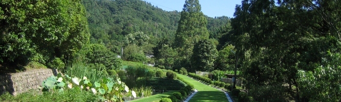 Central Garden