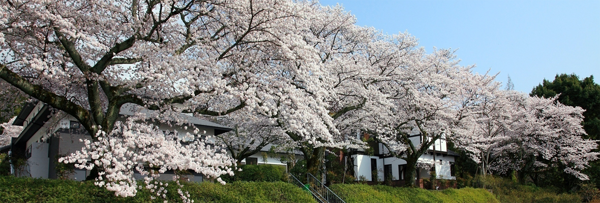 展示棟