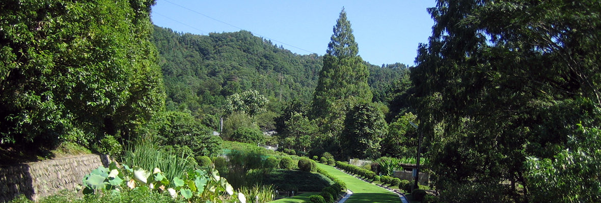 中央標本園