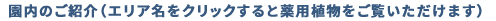 園内のご紹介（エリアのご紹介）