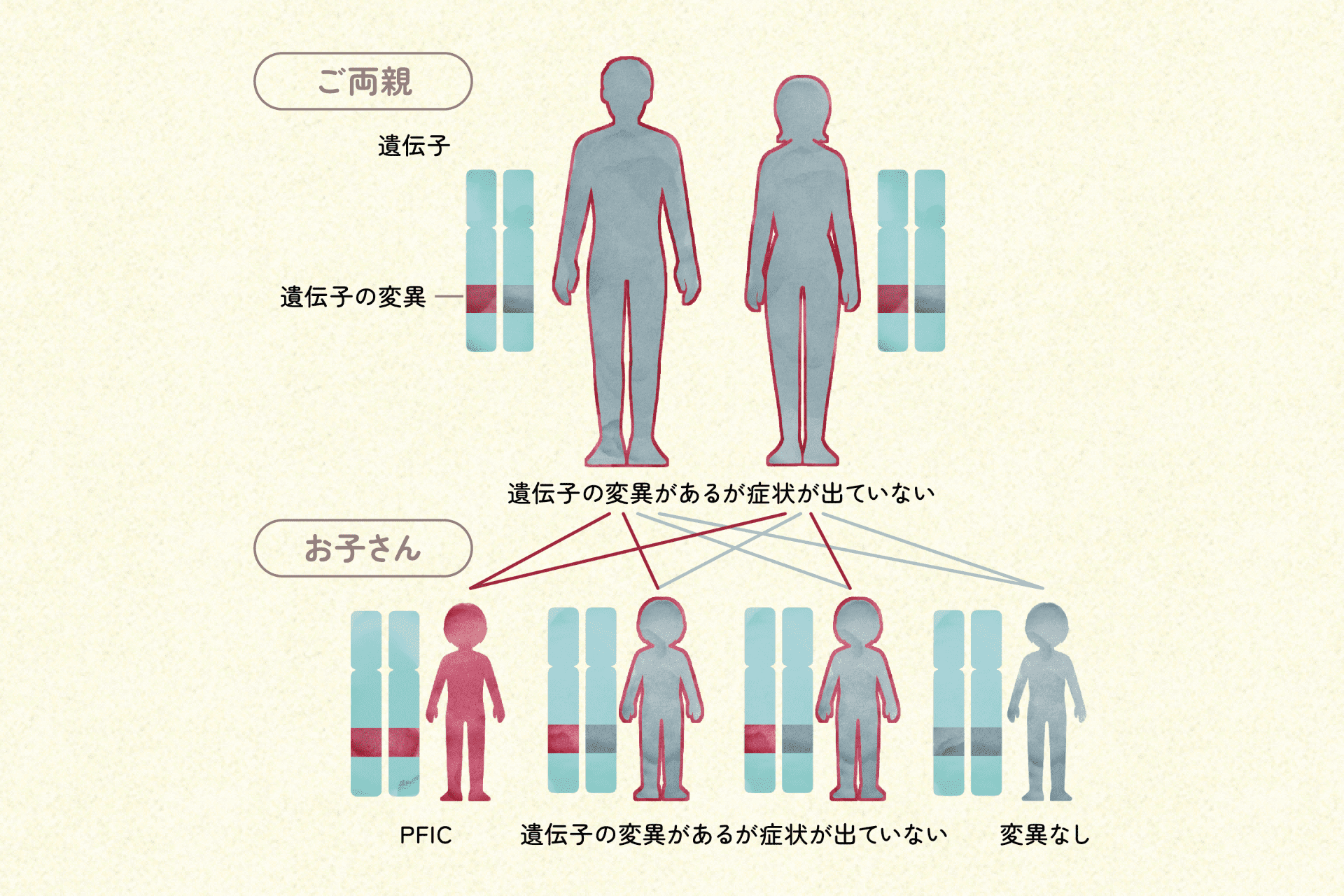 遺伝形式の例の図