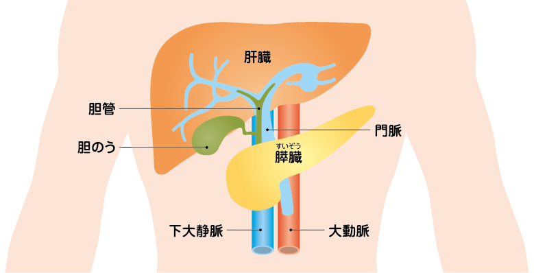 肝細胞がんとは