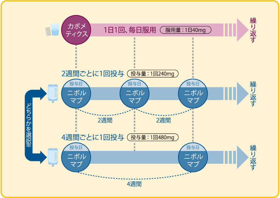 治療スケジュール