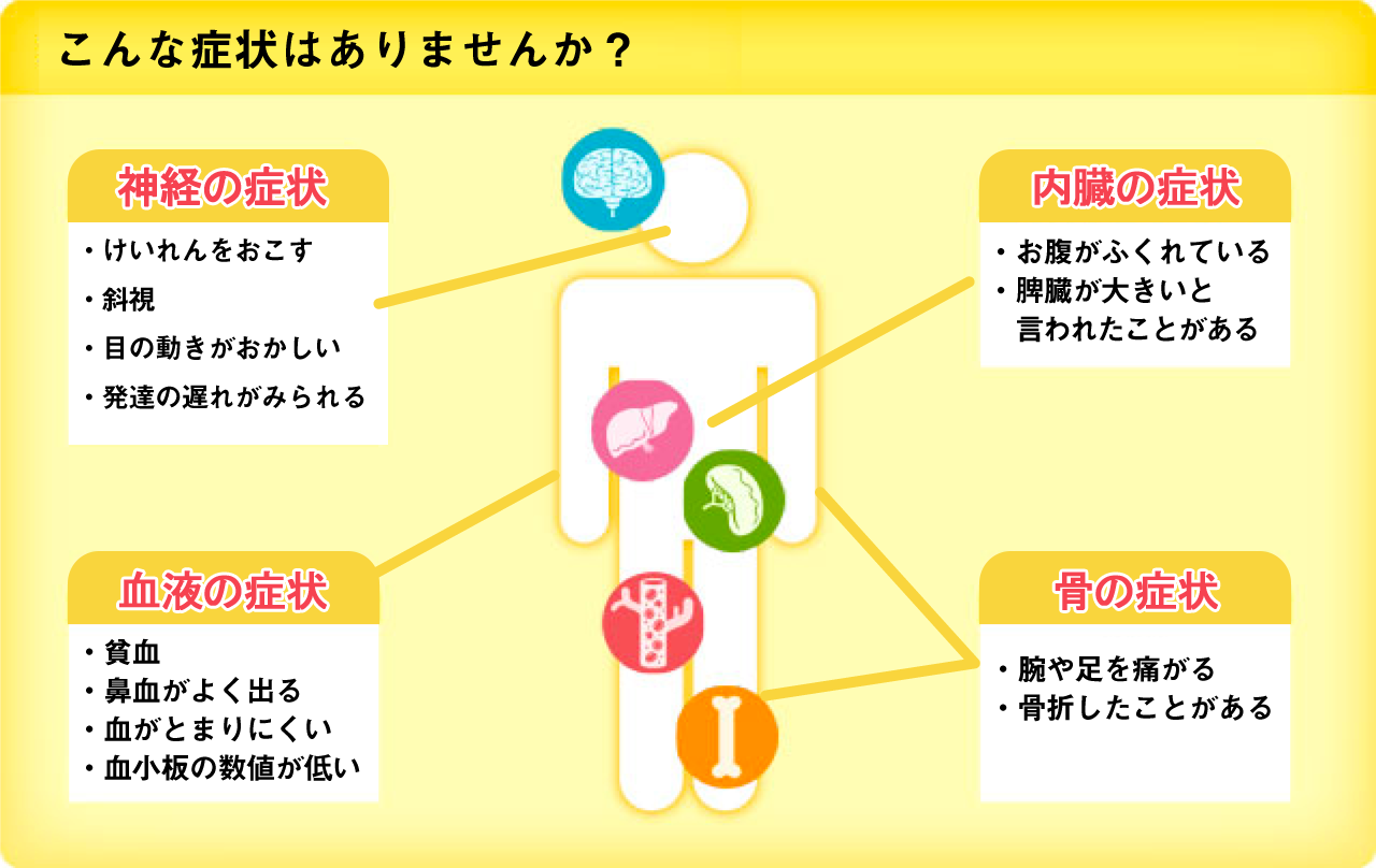 肝臓や脾臓が腫れて大きくなったり（肝脾腫）、貧血になったり、血が止まりにくくなる（血小板減少）という症状が特徴