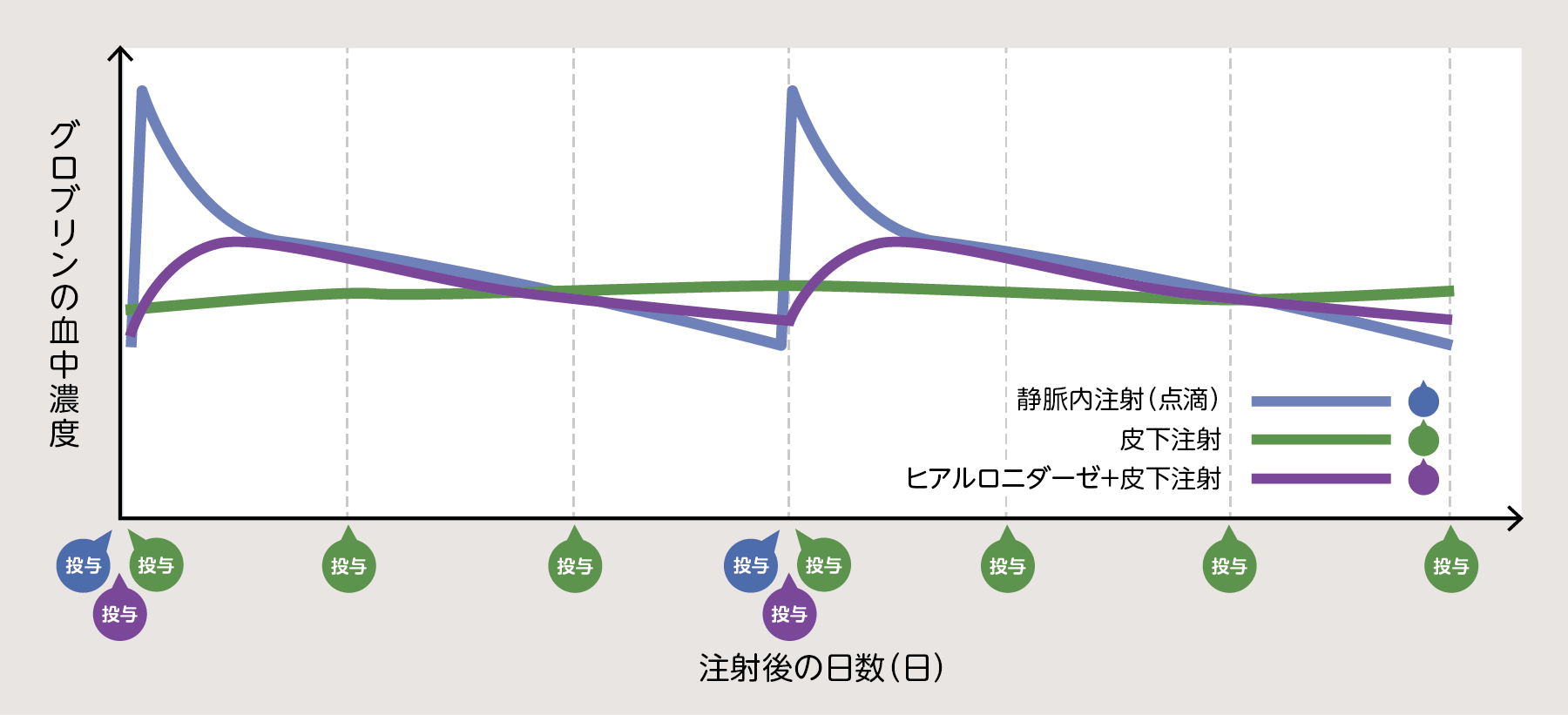 グロブリン血中濃度の比較 イメージ図