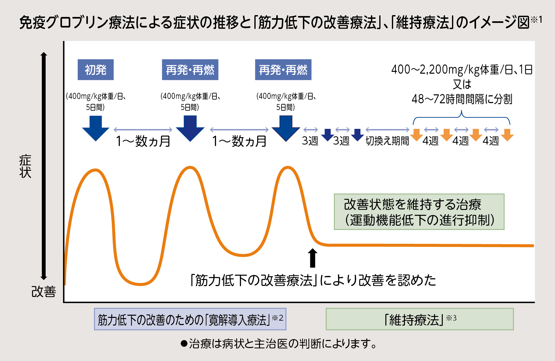 免疫グロブリン療法による症状の推移と「筋力低下の改善療法」、「維持療法」のイメージ図※1