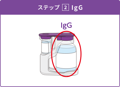 ステップ2 IgG