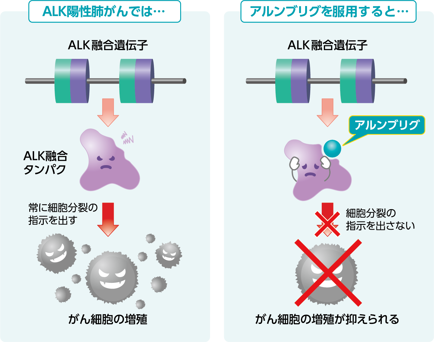 アルンブリグのはたらき