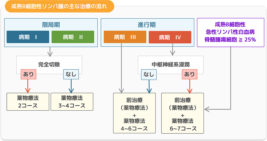 成熟B細胞性リンパ腫の主な治療の流れ