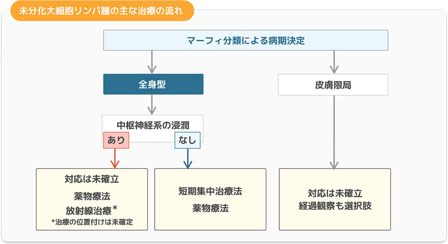 未分化大細胞リンパ腫の主な治療の流れ