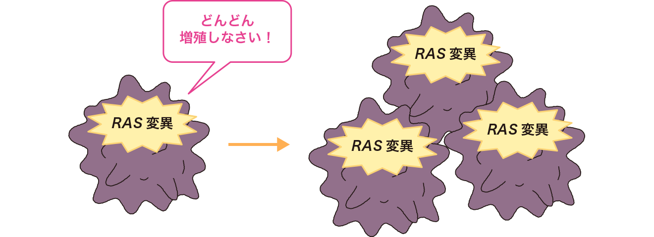 RAS変異によってがん化するイメージ。RAS遺伝子は変異すると細胞を無制限に増殖させてがんの発症に至る。