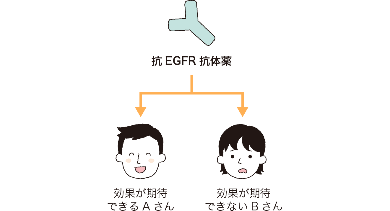 RAS遺伝子変異が起こる場合とRAS遺伝子変異が起こっていない場合の抗EGFR抗体薬の治療効果の違い。RAS遺伝子変異が起こっている患者さんには抗EGFR抗体薬の治療効果が期待できる。