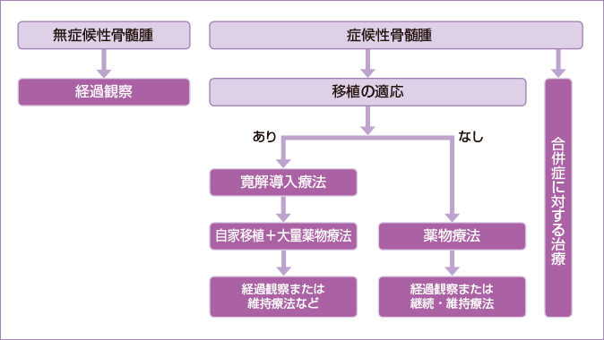 図3 多発性骨髄腫の治療の流れ