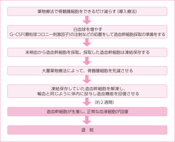 図4 自家造血幹細胞移植の流れ