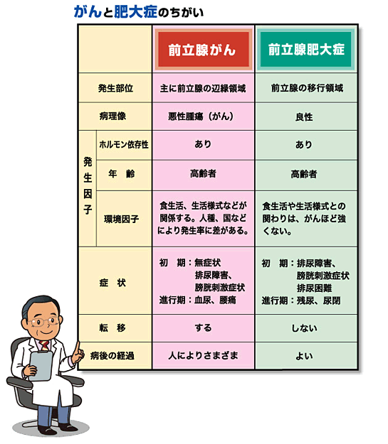 前立腺 肥大 症 予防