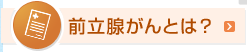 前立腺がんとは？