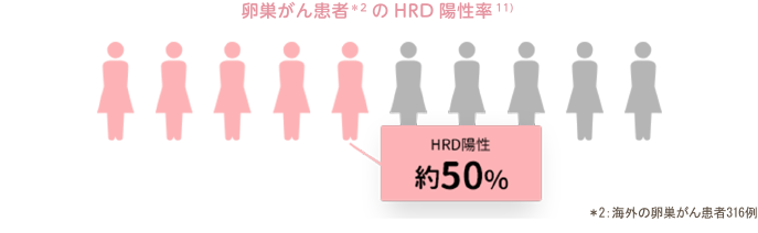 卵巣がん患者のHRD陽性率