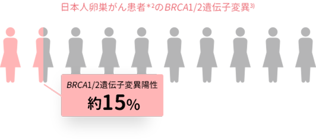 卵巣がん患者の<i>BRCA</i>1/2遺伝子変異