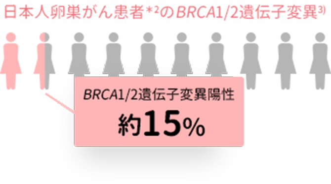 卵巣がん患者の<i>BRCA</i>1/2遺伝子変異