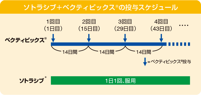 ソトラシブ＋ベクティビックス®の投与スケジュール
